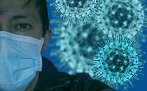 В России обнаружили новый штамм коронавируса «дельта-плюс», впервые выявленный в индийском штате Махараштра