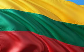 Посол Литвы в ФРГ Мисюлис заявил о намерении страны выделить 42 млн евро на укрепление границы с Белоруссией