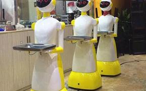 Из-за пандемии на Западе начали ещё активнее замещать официантов роботами