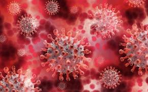 В Швейцарии выявили три случая заражения штаммом коронавируса типа «лямбда»