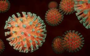 В ВОЗ спрогнозировали скорую доминацию штамма коронавируса «дельта» в мире