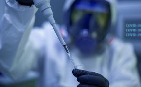 Вирусолог Сергей Нетёсов: как создаются вакцины и проверяется их эффективность