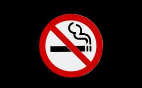 Член ОП Хамзаев предложил увеличить отпуск некурящим работникам на десять дней