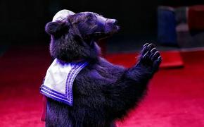 В кузбасском цирке-шапито медведь напал на дрессировщицу