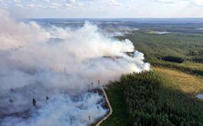 Лесные пожары на севере Хабаровского края заняли 3 тысячи гектаров 