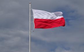 Польский дипломат Пелчиньская-Наленч считает необходимым смириться с воссоединением Крыма с Россией