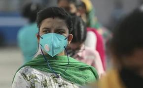 В Индии на фоне коронавирусной пандемии наблюдается «всплеск безумия»