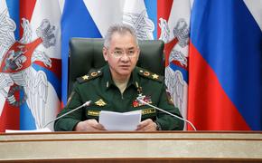 Шойгу заявил о готовности России помочь Таджикистану в случае угрозы безопасности