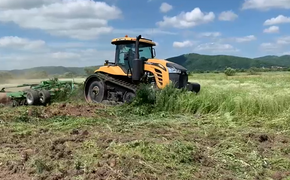 Коноплю в Приморье уничтожают гектарами