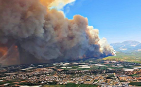 Эвакуация туристов из Турции в связи с лесными пожарами пока не планируется