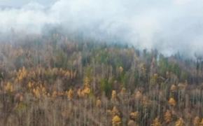 Якутия: лицом к лицу с лесными пожарами