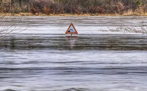 В Хабаровском крае ввели режим ЧС