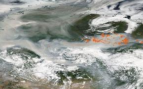 Дым от сибирских пожаров достиг Северного полюса