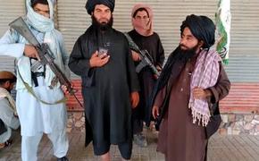 Талибы захватили ещё два крупных административных центра в Афганистане 