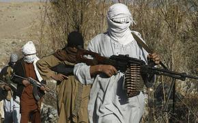 «Поднимайтесь против общего врага!»: Афганистан может охватить кровавая гражданская война