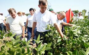 Новая субсидия в помощь аграриям планируется на Кубани