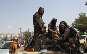 Талибы намерены вести мирный диалог с бывшими должностными лицами Афганистана