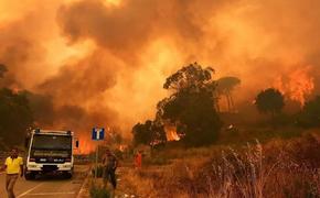 В Италии лесные пожары также стали серьезной общенациональной проблемой​