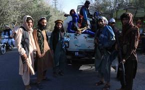 Запрещенный «Талибан»* запрещает запрещенные наркотики и запрещенный ваххабизм