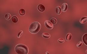 Врач Жемчугов назвал самым неявным симптомом коронавируса снижение уровня гемоглобина