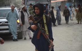В составе нового правительства Афганистана женщин не будет