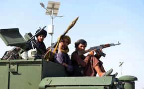 В посольстве Афганистана заявили, что получают сообщения о «жутких» действиях талибов