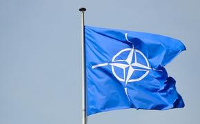 Официальный представитель НАТО Лунгеску призвала Россию и Белоруссию «действовать предсказуемо» в рамках учений