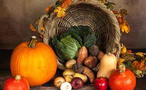Диетологи перечислили полезные осенью продукты  