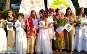 70 женщин «вышли замуж» за десятки деревьев в отчаянной попытке предотвратить их вырубку