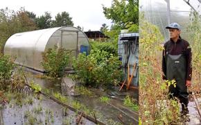 Последствия затопления островов в городской черте Иркутска