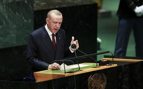 Эрдоган заявил о наличии дорожной карты с целью «загнать в угол» постоянных членов СБ ООН