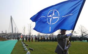 Политолог Погребинский заявил, что Украина никогда не станет полноправным членом НАТО