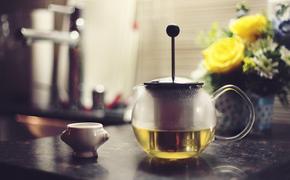 Японский ученый Фукусима заявил, что зеленый чай способен снизить риск рака и инсульта