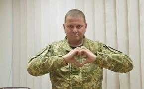 Украинской армии разрешили «причинять смерть врагам»   