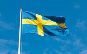 Депутат парламента Швеции Пюсс заявил о необходимости вступления страны в НАТО
