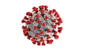 Коронавирус станет сезонным заболеваем только после выработки коллективного иммунитета