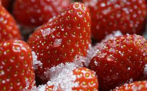 Диетолог Русакова рассказала, сколько сахара можно употреблять в сутки