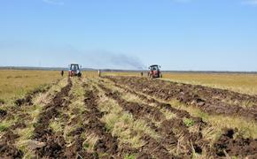 Ущерб от паводка сельскому хозяйству Хабаровского края оценили в 24 млн рублей