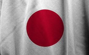 Новый премьер Японии Кисида заявил о суверенитете страны над Южными Курилами