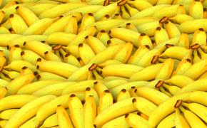 Диетолог Соломатина объяснила, почему нельзя есть много бананов