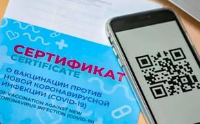 В Хабаровском крае пока еще думают над целесообразностью введения QR-кодов