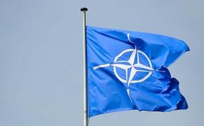 Первый вице-спикер Рады Корниенко заявил об ускорении движения Украины в НАТО