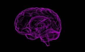 Врач-невролог Мхитарян заявила, что COVID-19 может стать пусковым фактором для развития болезни Альцгеймера