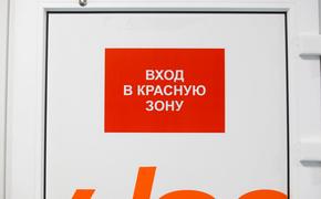 За сутки в Челябинской области прибавилось 520 больных ковидом