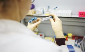 Гинцбург: поддельный сертификат о вакцинации можно вычислить с помощью теста на антитела к белку аденовируса Ad26 