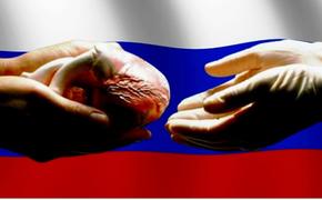 Дмитрий Давыдов предлагает создать современную систему донорства