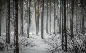 Нацпарки Челябинской области ожидают прирост туристов в зимний сезон