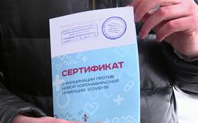 В Хабаровске задержали шестерых покупателей фальшивых ковид-сертификатов