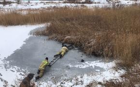 В Челябинской области двое детей провалились под лед и погибли