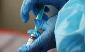 Где южноуральцы могут сделать прививку перед последним нерабочим днем